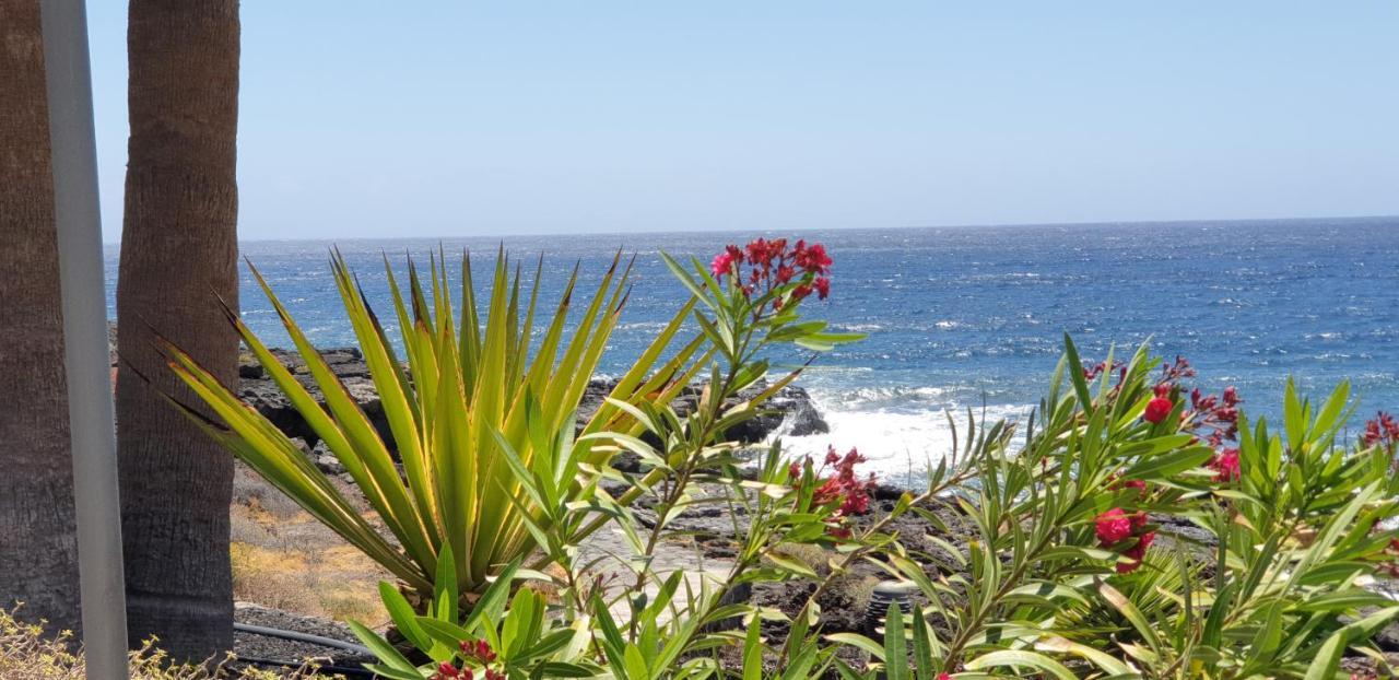 Cosy Well Located Apartment Tenerife Sur Golf Сан Мигел де Абона Екстериор снимка