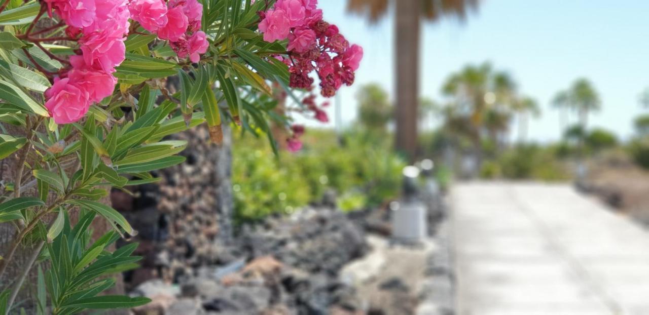 Cosy Well Located Apartment Tenerife Sur Golf Сан Мигел де Абона Екстериор снимка