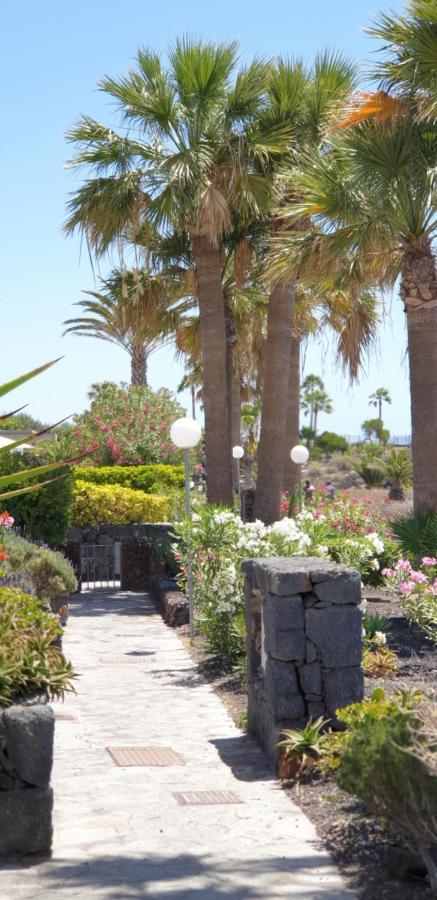 Cosy Well Located Apartment Tenerife Sur Golf Сан Мигел де Абона Екстериор снимка