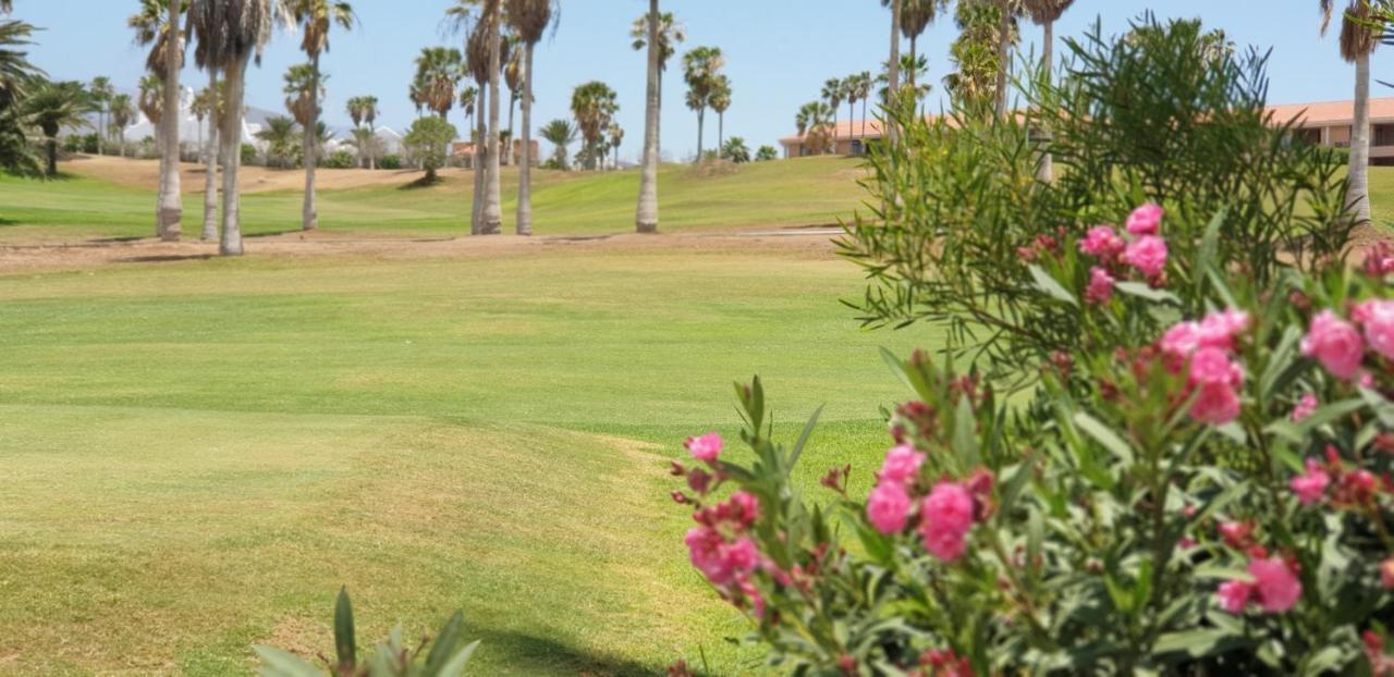 Cosy Well Located Apartment Tenerife Sur Golf Сан Мигел де Абона Екстериор снимка